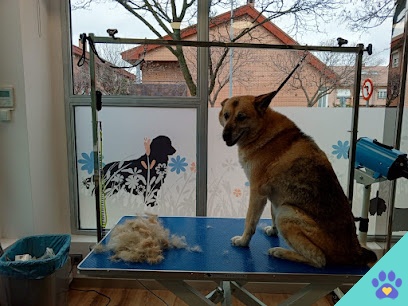 Peluquería Canina Canis Minor - Valladolid