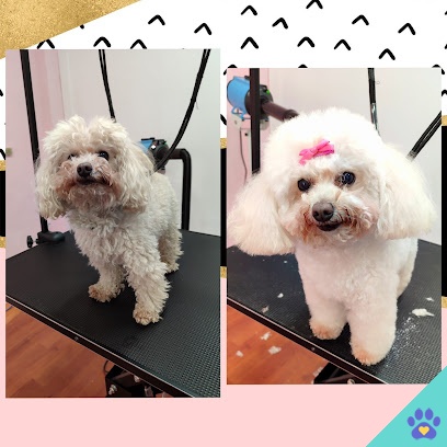 Peluquería Canina Gaia - Priego de Córdoba