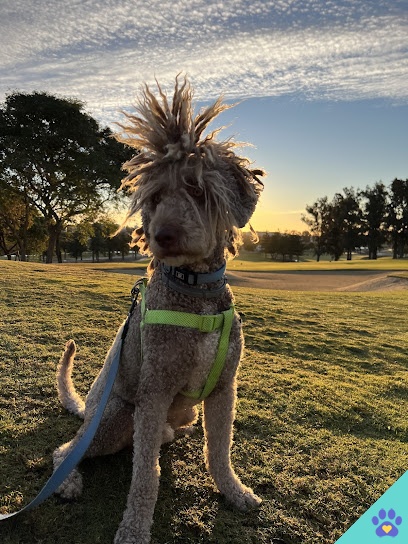 Peluquería canina Guau la pelu - Málaga