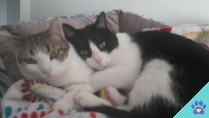 Peluqueria Canina Hanna - El Masnou