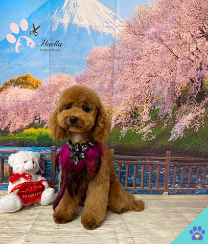Peluquería canina, Huella - Monzón