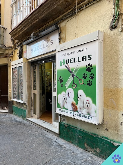 Peluquería canina huellas - Cádiz