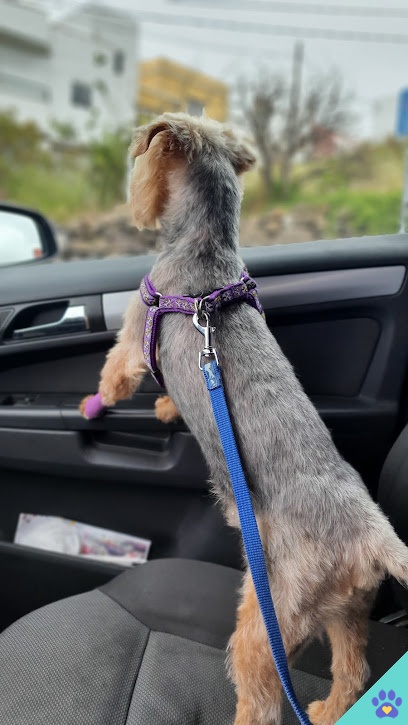 Peluquería Canina Jonay Rodríguez - Guía