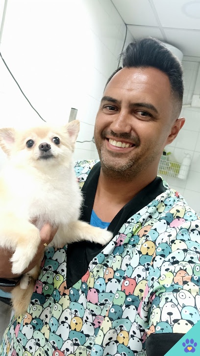Peluqueria canina jose mari - Jerez de la Frontera