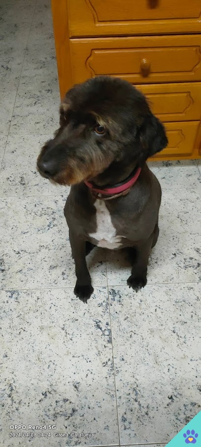 Peluqueria Canina Julia - La Bisbal d'Empordà