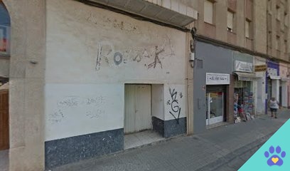 Peluqueria Canina Katia - Monzón