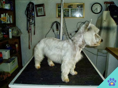 Peluquería canina Lady - Lora del Río