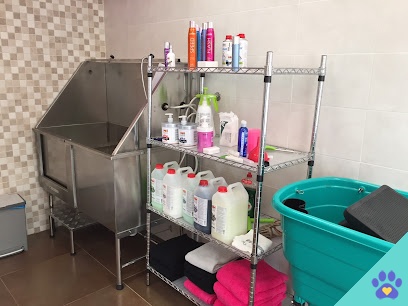 Peluquería Canina Livet - Burlada