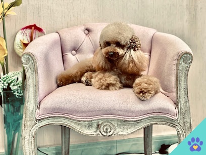 Peluqueria Canina Lorena Bedlington - Gijón
