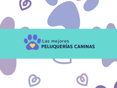 Peluqueria canina Lorena campos - Algeciras