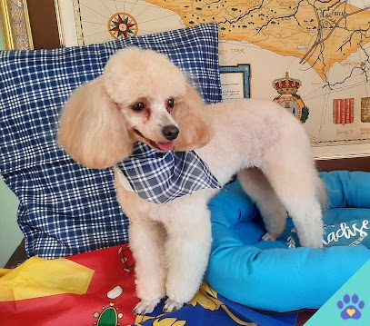 Peluquería Canina Luky - Chiva