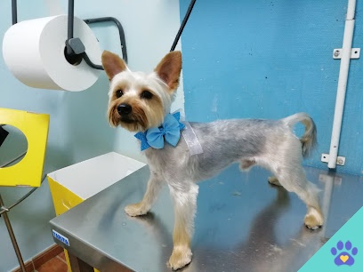 Peluquería Canina Mabel Gaona - Manzanares