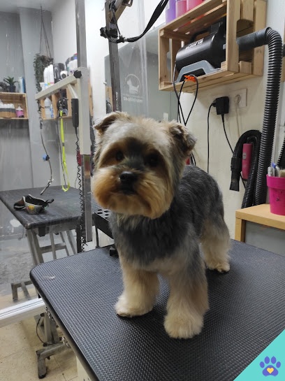 Peluquería canina María lopez - Ciudad Real