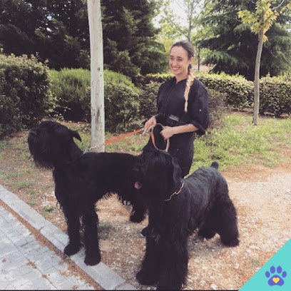 Peluquería canina María Núñez - Rivas-Vaciamadrid
