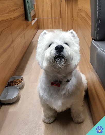 Peluqueria Canina Mas Cukki - Santa Pola