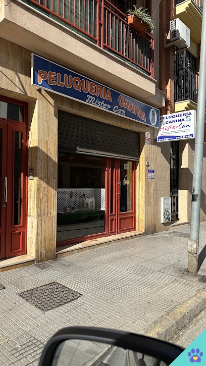 Peluquería Canina Mister Can - Huelva
