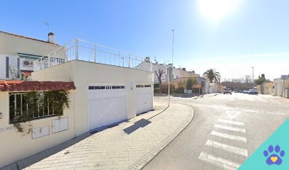 Peluquería canina Moca Rivas - Rivas-Vaciamadrid