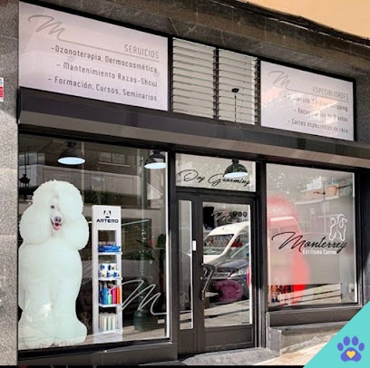 Peluquería Canina Monterrey - Vigo