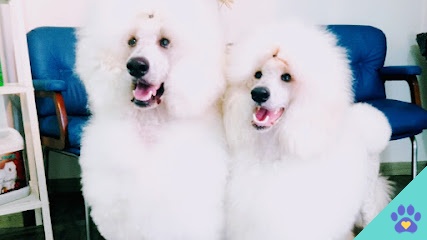 PELUQUERÍA CANINA ÓSCARGROOMER - Dos Hermanas