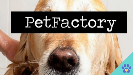 Peluqueria canina PetFactory Gijon - Gijón