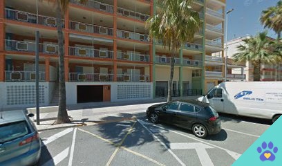 peluqueria canina - Playa de Nules