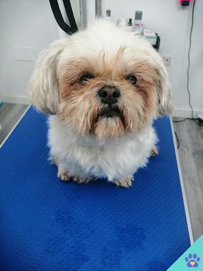 Peluqueria Canina Pretty Can Grooming - Sanlúcar de Barrameda