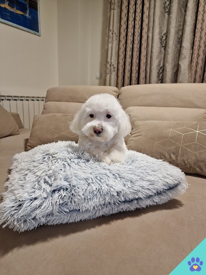 Peluquería Canina Raquel - Guadalajara