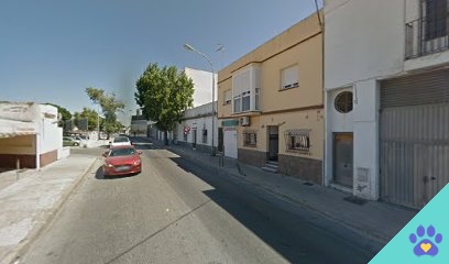 Peluquería Canina - Sanlúcar de Barrameda