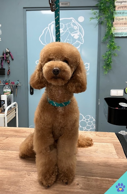 Peluqueria canina SANUMDOG - Palafrugell