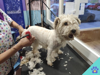 Peluquería Canina Souad - Badajoz