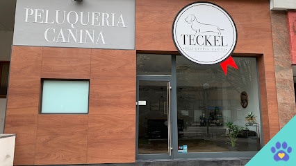 Peluquería Canina Teckel - Pamplona