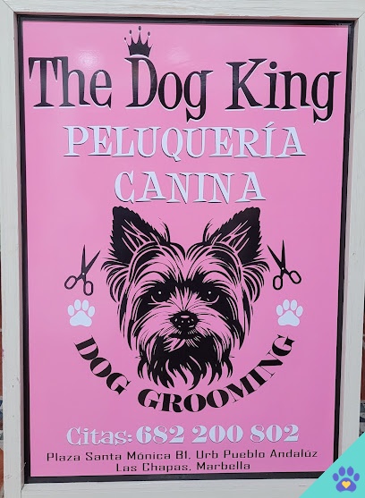 Peluquería Canina The Dog King Marbella - Marbella