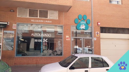 Peluquería canina WaWaSplash - Almería