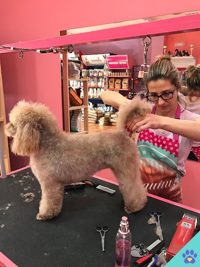 Peluqueria Canina Y Felina Nieves Manzano - La Eliana