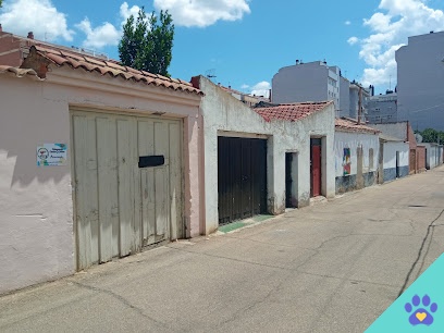 Peluquería canina y felina OMD - Palencia