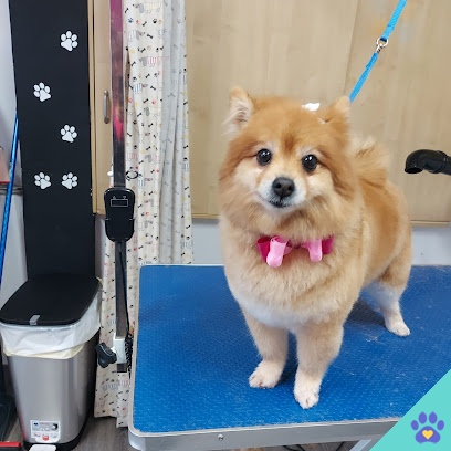 Peluquería Canina y Felina - WENDY & NEO - Málaga
