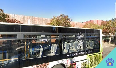 Peluquería / Guardería / DOGZAR - Badajoz