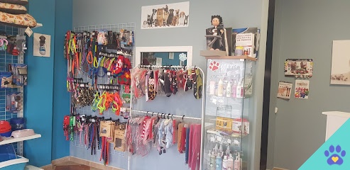 Peluqueria Stylo Canino - Dos Hermanas