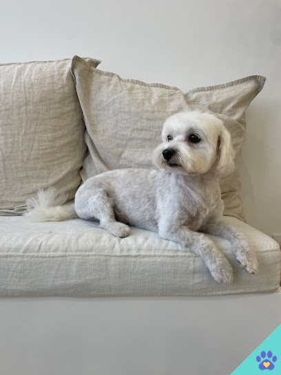 Pepita Dog Hair Salon - Almería
