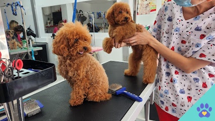 Perri Pet - Santa Cruz de Tenerife