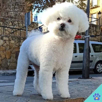 Ponme Guapo - Marbella