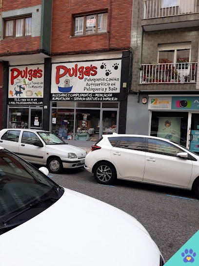 Pulga´s Peluquería Canina - Gijón