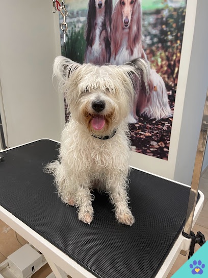 Riggsbee´s Dogs - Peluquería Canina SPA - Guadalajara