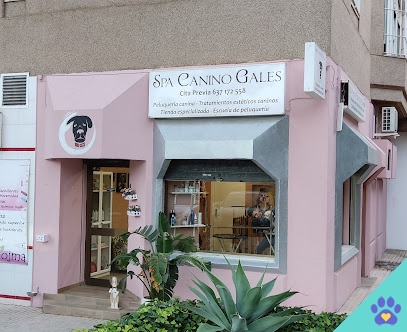 SPA canino Gales - Jerez de la Frontera