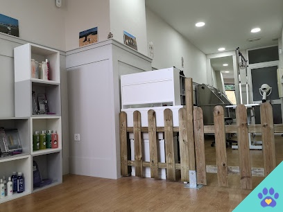 Styl´Dogs Peluqueria Canina - Cádiz