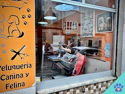 Taba peluqueria canina - Palma