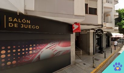 URBAN TAILS PET COMPLEMENTS & SPA - Ibiza