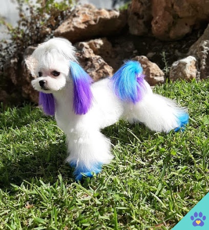 Villarcan Peluquería Canina - Badajoz