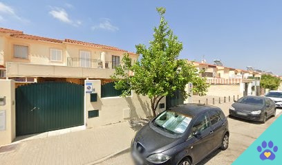 ZicZac - Jerez de la Frontera